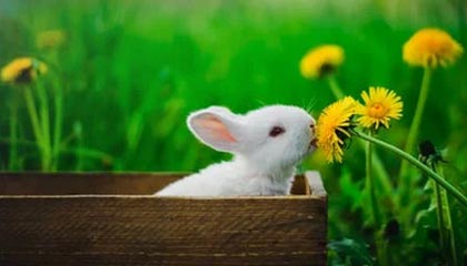 张雨霏获得国际泳联表彰奖项，张雨霏夺全国游泳冠军赛视频