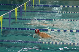 开云电竞app-全国大学生花样游泳大赛优秀节目连连，2020年全国花样游泳比赛