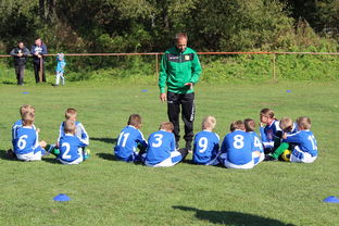 意甲攻守大比拼：速度与战术的融合！，意甲战术强在哪里